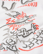JAPAN1