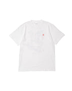 JAPAN1